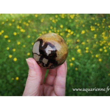 Sphère de Septaria Ø5,5cm - Pierre sécurisante ≡ aquarienne.fr