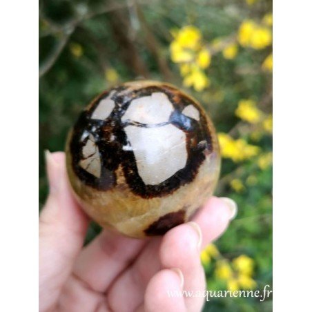 Sphère de Septaria Ø5,5cm - Pierre sécurisante ≡ aquarienne.fr