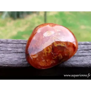 Cornaline de Madagascar · galet 240 g