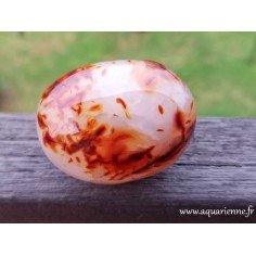 Cornaline de Madagascar · galet 199 g