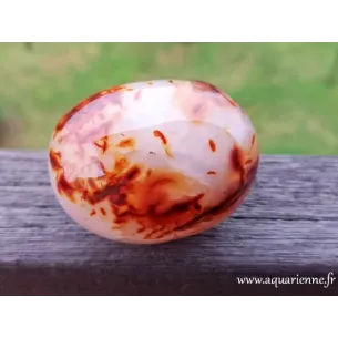 Cornaline de Madagascar · galet 199 g