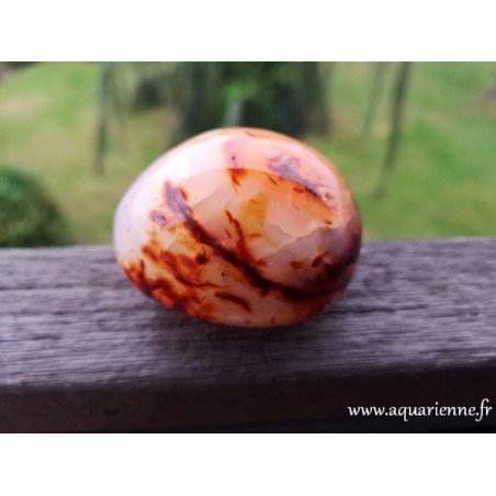 galet Cornaline Madagascar de 199 g