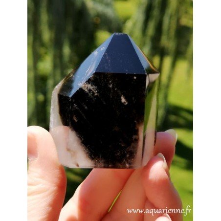 Quartz fumé Morion - Pointe 158g