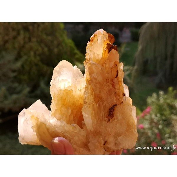 Quartz Céleste de Madagascar · Macle 810 g