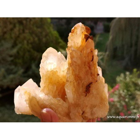 Quartz Céleste de Madagascar · Macle 810 g