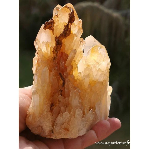 Quartz Céleste de Madagascar · Macle 810 g