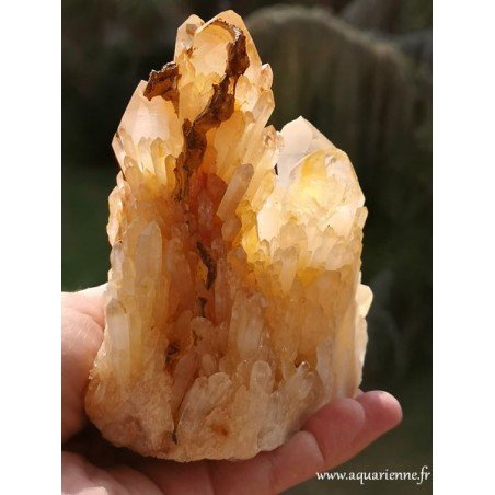 Quartz Céleste de Madagascar · Macle 810 g
