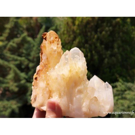 Quartz Céleste de Madagascar · Macle 810 g