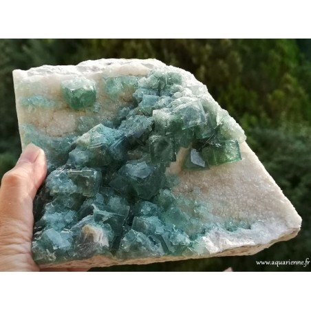 Cristaux cubiques de Fluorite verte de Madagascar sur gangue - Pierre brute 1kg970