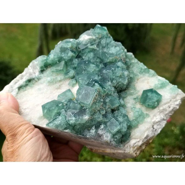 Cristaux cubiques de Fluorite verte de Madagascar sur gangue - Pierre brute 1kg970