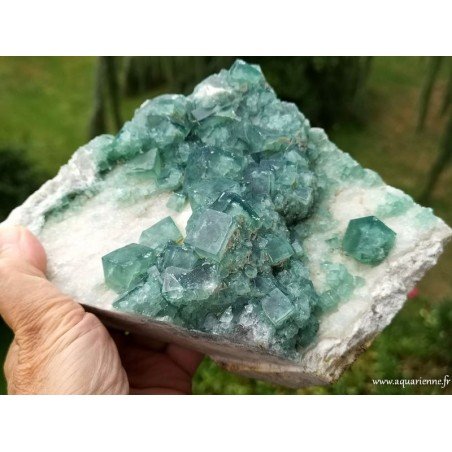 Cristaux cubiques de Fluorite verte de Madagascar sur gangue - Pierre brute 1kg970