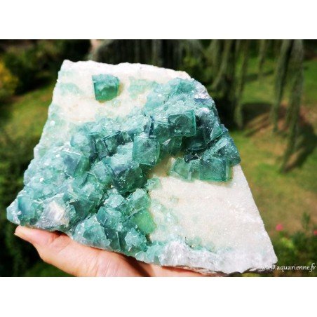 Cristaux cubiques de Fluorite verte de Madagascar sur gangue - Pierre brute 1kg970