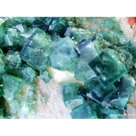 Cristaux cubiques de Fluorite verte de Madagascar sur gangue - Pierre brute 1kg970