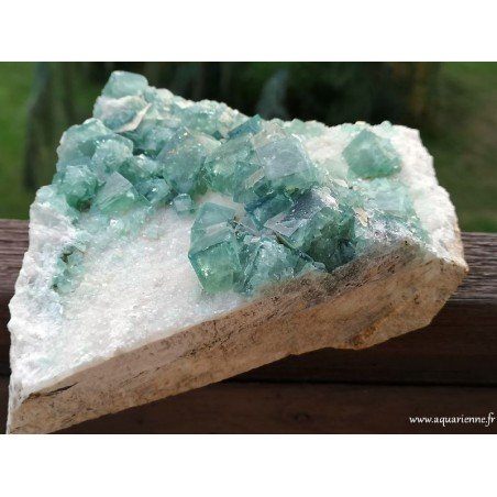 Cristaux cubiques de Fluorite verte de Madagascar sur gangue - Pierre brute 1kg970