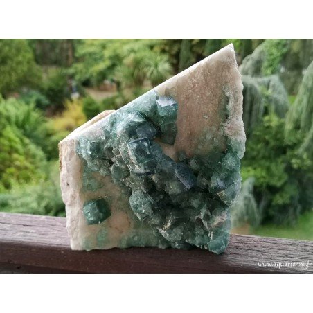 Cristaux cubiques de Fluorite verte de Madagascar sur gangue - Pierre brute 1kg970