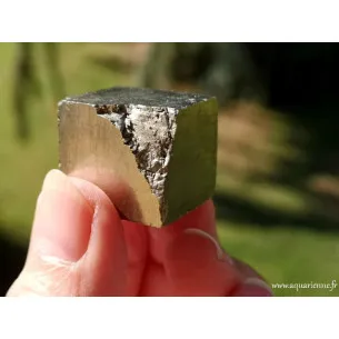 Pyrite cube naturel