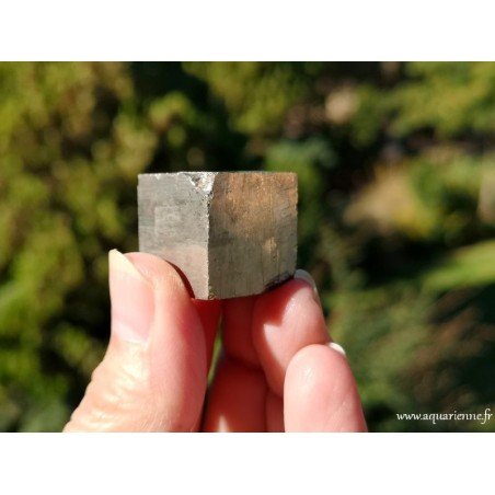 Pyrite brute d'Espagne · Cristal cubique