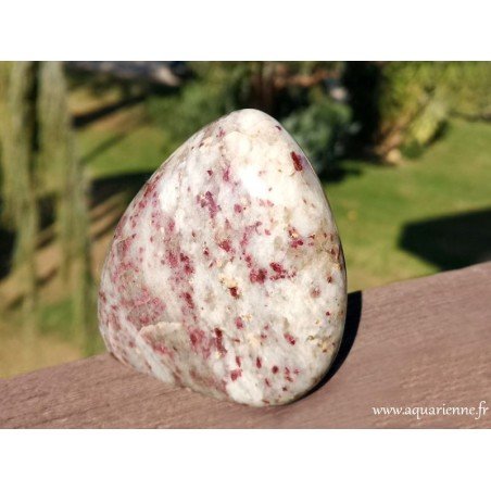 Rubellite forme libre 483 g