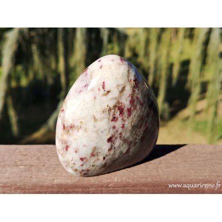 Rubellite ou Tourmaline rose - Forme libre de 483g