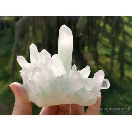 Quartz à fantôme vert. La couleur verte est due à des inclusions de Fuchsite. Lumineuse gerbe de pointes de 440g