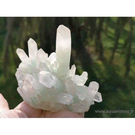 Druse multi-pointes de quartz fuchsite de 10 cm et 440g. Pour collection, lithothérapie, feng shui, déco intérieure