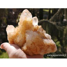 Quartz céleste doré, druse multipointe de 1kg133, variété rare découverte à Madagascar. Pierre unique, idée cadeau.