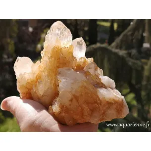 Quartz céleste doré, druse multipointe de 1kg133, variété rare découverte à Madagascar. Pierre unique, idée cadeau.