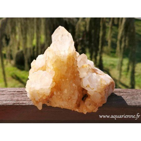 Amas cristallin de pointes de Quartz céleste doré, variété rare de Madagascar. Pièce unique de 1kg133 à acheter dès maintenant.