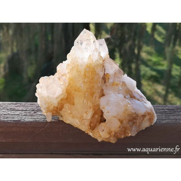 Superbe gerbe de pointes de quartz céleste de 11,4 cm de haut. Variété jaune doré de Madagascar, assez rare.