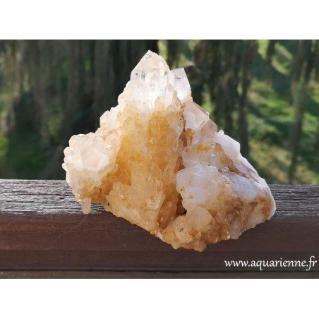 Superbe gerbe de pointes de quartz céleste de 11,4 cm de haut. Variété jaune doré de Madagascar, assez rare.