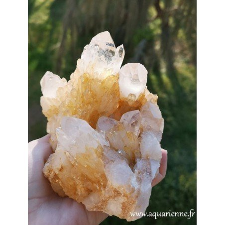 Druse multipointes de quartz céleste doré de Madagascar. Poids : 1kg133 - Hauteur : 114mm - Longueur : 110 mm