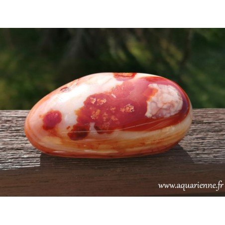 Cornaline, gros galet de 9 cm pesant 256g. Pierre avec de jolis motifs dont seule la nature a le secret. Poli main. A acheter.