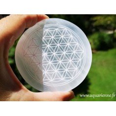 Fleur de vie gravée sur disque en Sélénite de 8 cm de diamètre. Hautes vibrations énergétiques à s'offrir.