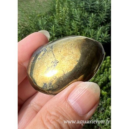 Chalcopyrite dorée de 75 g. Pierre d'abondance que vous pouvez acheter dès maintenant.