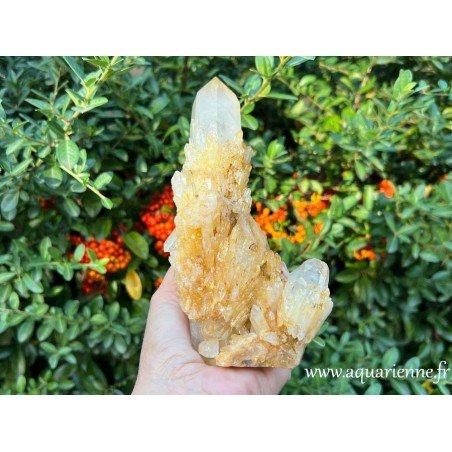 Quartz Céleste doré de Madagascar (Ambatofinandrahana). Poids : 730g - Hauteur : 18 cm. Pièce unique.