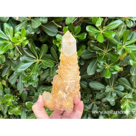 Superbe druse quartz céleste ou quartz ananas doré de Madagascar. Pièce unique de 18cm de haut, pesant 730g.