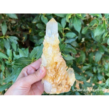Quartz Céleste doré de Madagascar (Ambatofinandrahana). Poids : 730g - Hauteur : 18 cm. Pièce unique.