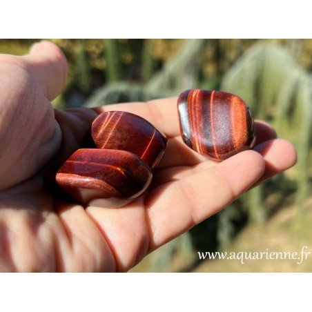 Oeil de Taureau - Force·Courage·Protection·Prospérité ≡ Aquarienne.fr