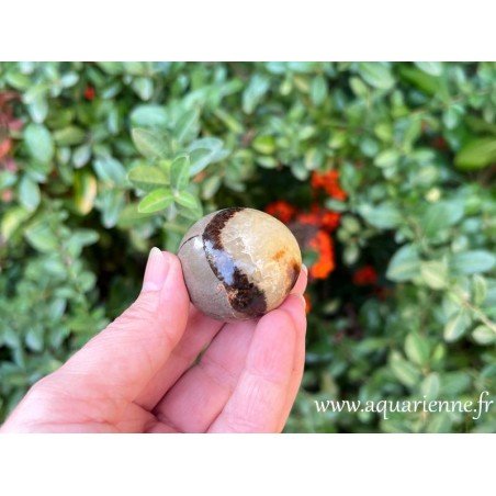 Septaria de Madagascar, galet poli, tout rond et doux au toucher de 78g. Apporte une énergie de renouvellement.