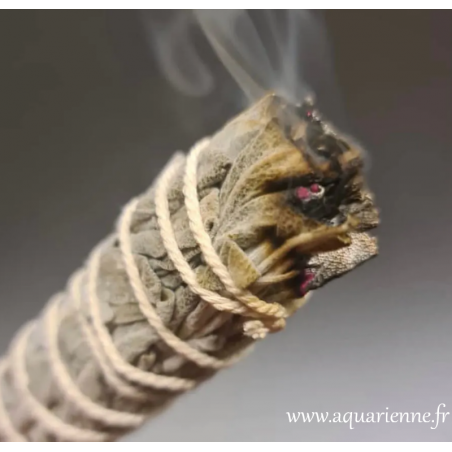 Sauge à brûler, bâton de fumigation ou smudge stick de 60/75 g pour purification de l'aura et des lieux, cérémonie de la fumée.