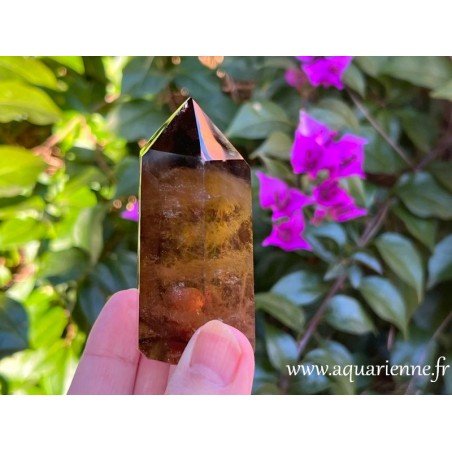 Pointe de Quartz enfumé de Madagascar avec inclusions et une face Isis. Pierre d'ancrage et de protection. Pièce unique.