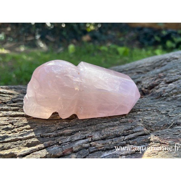 Crâne avec pointe en Quartz rose 12 cm, 440g. Favorise la libération émotionnelle. Pièce unique.