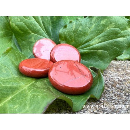 Jaspe rouge, pierre plate de 3 cm. 1er charkra - vitalité - ancrage. Pierre vendue à l'unité.