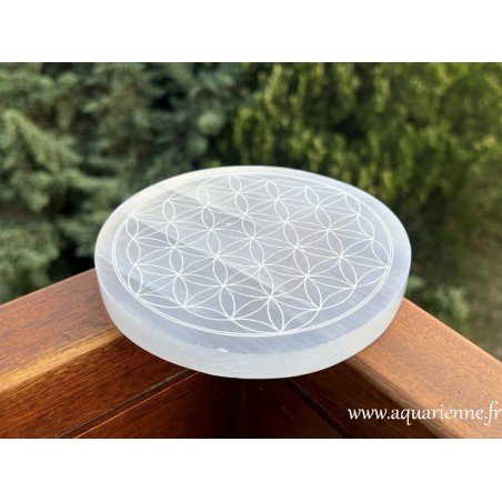 Symbole de la Fleur de Vie gravé dans une plaque ronde de Sélénite, ø14 cm. Purifie, harmonise, protège les êtres et les lieux.