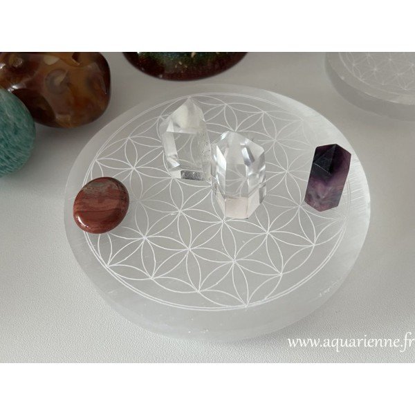 Fleur de vie gravée sur disque en Sélénite de 14 cm de diamètre. Hautes vibrations énergétiques à s'offrir.