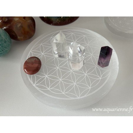 Fleur de vie gravée sur disque en Sélénite de 14 cm de diamètre. Hautes vibrations énergétiques à s'offrir.