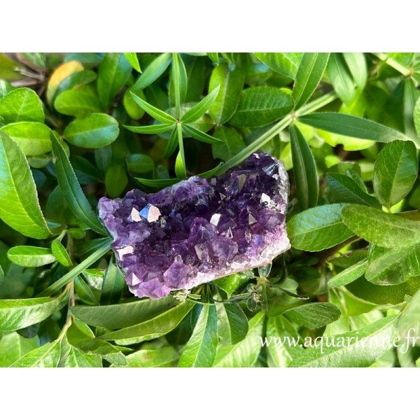 Améthyste d'Uruguay, druse de 7 cm et 100g. Vibrations apaisantes, libère du stress, des angoisses. Pièce unique idée cadeau.