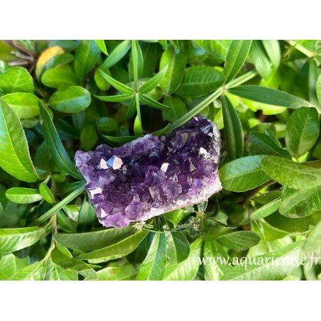 Améthyste d'Uruguay, druse de 7 cm et 100g. Vibrations apaisantes, libère du stress, des angoisses. Pièce unique idée cadeau.