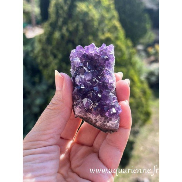 Améthyste Ururguay, qualité extra. Druse brute pour collection, lithothérapie, méditation, décoration, feng-shui. Pièce unique.