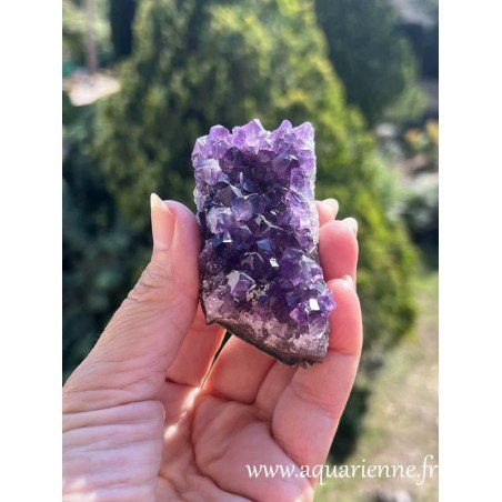 Améthyste Ururguay, qualité extra. Druse brute pour collection, lithothérapie, méditation, décoration, feng-shui. Pièce unique.